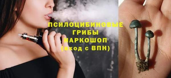 ГАЛЛЮЦИНОГЕННЫЕ ГРИБЫ Михайловка