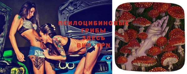 прущие крисы Михайловск