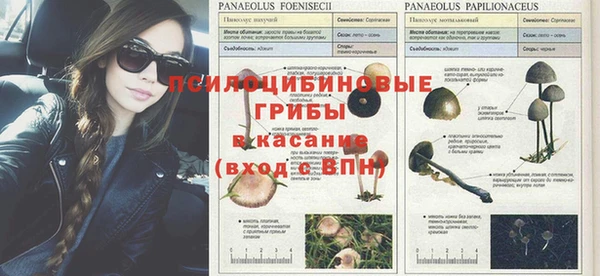 альфа пвп Михайлов