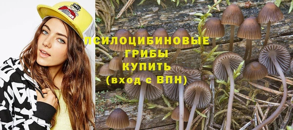 первитин Белокуриха