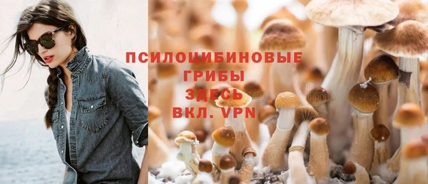 прущие крисы Михайловск